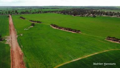 Farm For Sale - WA - Nungarin - 6490 - BARRAKEE - 49.41 ACRES OF RURAL LIFESTYLE  (Image 2)