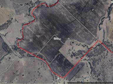 Farm For Sale - QLD - Haly Creek - 4610 - 267 Acres Irrigatable River Flats.  (Image 2)