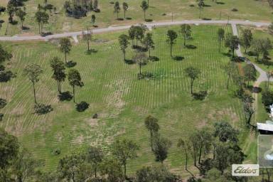 Farm For Sale - QLD - Widgee - 4570 - New Home on acreage - UNDER $660,000!  (Image 2)