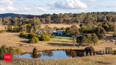 Farm For Sale - NSW - Bywong - 2621 - Where sophistication meets a country lifestyle  (Image 2)