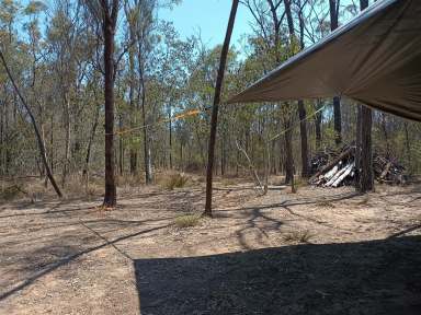 Farm Sold - QLD - Millmerran Woods - 4357 - Escape to the heart of nature with 8 hectares in Millmerran Woods!  (Image 2)