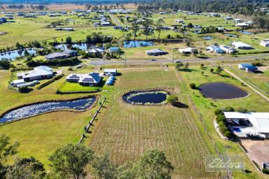 Farm For Sale - QLD - Curra - 4570 - NEW HOME PACKAGE - UNDER $765,000  (Image 2)