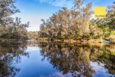 Farm For Sale - WA - Darradup - 6275 - Rare River frontage + 160 acres + 2 homes  (Image 2)