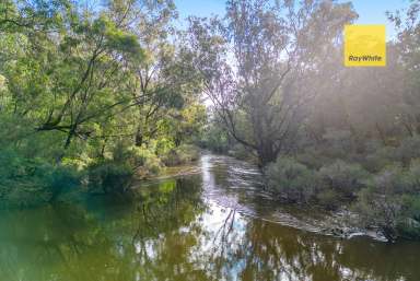 Farm For Sale - WA - Darradup - 6275 - Rare River frontage + 160 acres + 2 homes  (Image 2)