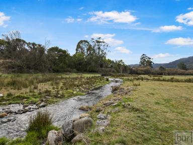 Farm For Sale - VIC - Tallandoon - 3701 - Creek Side Lifestyle In The Tightly Held Mitta Valley  (Image 2)