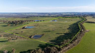 Farm For Sale - SA - Mount Magnificent - 5210 - Magnificent Views & Prime Grazing  (Image 2)