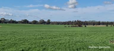 Farm For Sale - WA - Kojonup - 6395 - Reliable, Well Located, Proven Performer  (Image 2)