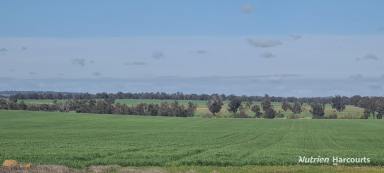 Farm For Sale - WA - Kojonup - 6395 - Reliable, Well Located, Proven Performer  (Image 2)