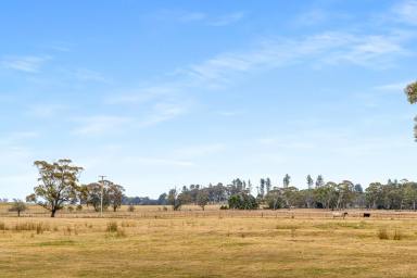 Farm Auction - NSW - Gingkin - 2787 - Privacy, Location and Potential!!  (Image 2)