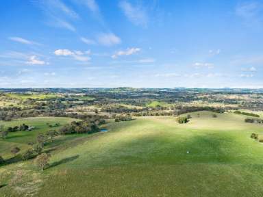 Farm For Sale - NSW - Binalong - 2584 - Lifestyle Treat  (Image 2)