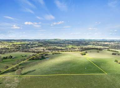 Farm For Sale - NSW - Binalong - 2584 - Lifestyle Treat  (Image 2)