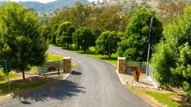 Farm For Sale - NSW - Jingellic - 2642 - "Rest Point" - A Magnificent Riverfront Property  (Image 2)