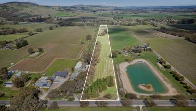 Farm For Sale - SA - Bethany - 5352 - Vineyard Opportunity at 880 Basedow Road, Bethany  (Image 2)