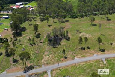 Farm For Sale - QLD - Widgee - 4570 - New Home on Acreage - UNDER $630,000!  (Image 2)