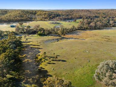 Farm For Sale - VIC - Sedgwick - 3551 - Stunning 21.4 Acre Block with Scenic Views and Creek in Prestigious Sedgwick  (Image 2)