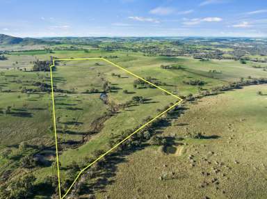 Farm For Sale - NSW - Binalong - 2584 - REDUCED PRICE - Blue Ribbon Location – Garryowen Road Binalong  (Image 2)