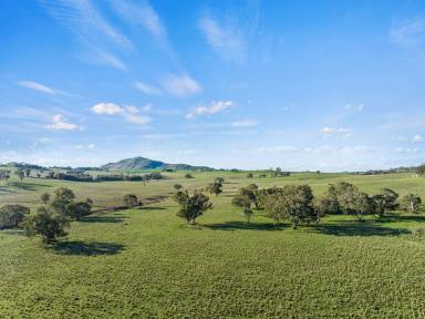 Farm For Sale - NSW - Binalong - 2584 - Blue Ribbon Location – Garryowen Road Binalong  (Image 2)