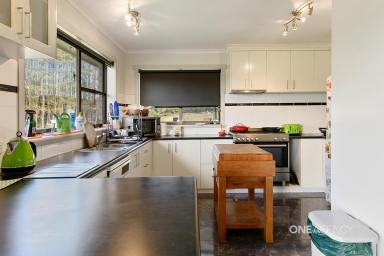 Farm For Sale - TAS - Trowutta - 7330 - Country Living At Its Best  (Image 2)