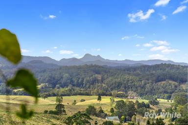 Farm For Sale - NSW - Limpinwood - 2484 - CRACKER VIEWS TO DIE FOR  (Image 2)