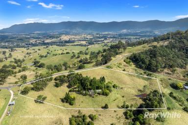 Farm For Sale - NSW - Limpinwood - 2484 - CRACKER VIEWS TO DIE FOR  (Image 2)