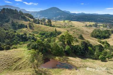 Farm For Sale - NSW - Limpinwood - 2484 - If you like a home with a view , it doesn't come much better than this.  (Image 2)