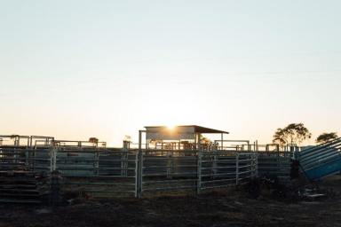 Farm Auction - NSW - Moree - 2400 - The Long Yard, Moree  (Image 2)