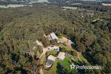 Farm For Sale - VIC - Launching Place - 3139 - 100 ACRES OF AUSTRALIA!  (Image 2)