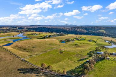 Farm Auction - NSW - Luskintyre - 2321 - Lower Hunter Lifestyle with elite equine opportunities  (Image 2)