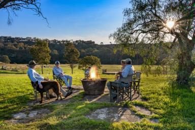 Farm Auction - NSW - Luskintyre - 2321 - Lower Hunter Lifestyle with elite equine opportunities  (Image 2)