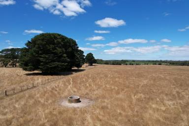 Farm For Sale - VIC - Drumborg - 3304 - Great Grazing country in good rainfall area  (Image 2)