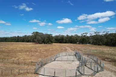 Farm For Sale - VIC - Drumborg - 3304 - Great Grazing country in good rainfall area  (Image 2)