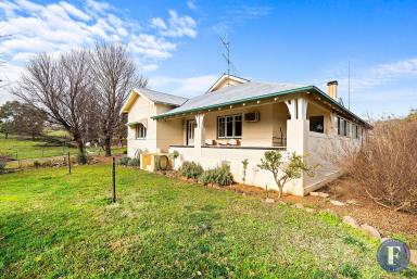 Farm For Sale - NSW - Taylors Flat - 2586 - Rural Lifestyle Opportunity  (Image 2)