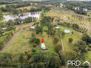 Farm For Sale - NSW - Caniaba - 2480 - Nearly 27 Acres with Great Water  (Image 2)