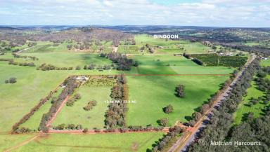 Farm For Sale - WA - Bindoon - 6502 - Unique Australian Homestead on 32 Acres in Bindoon  (Image 2)