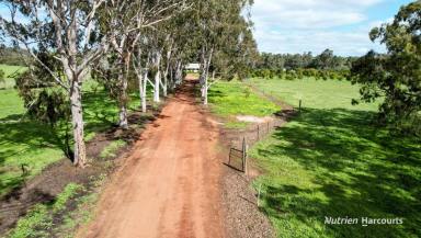 Farm For Sale - WA - Bindoon - 6502 - Unique Australian Homestead on 32 Acres in Bindoon  (Image 2)