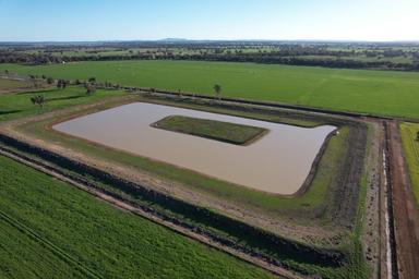 8065 Lachlan Valley Way, Forbes NSW 2871