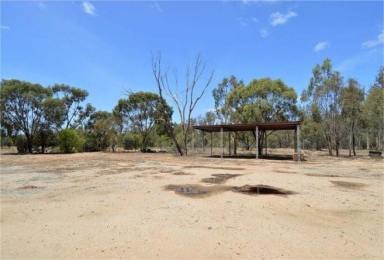 Farm For Sale - NSW - Moama - 2731 - Prime Rural Lifestyle Opportunity with Exceptional Features  (Image 2)