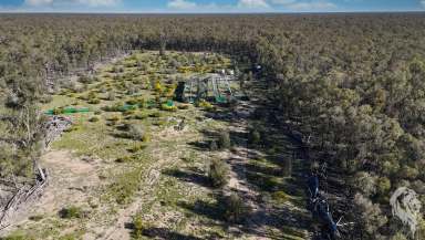 Farm For Sale - NSW - Wee Waa - 2388 - WEEKEND GETAWAY - HUNTING BLOCK  (Image 2)