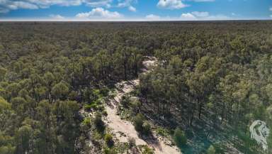 Farm For Sale - NSW - Wee Waa - 2388 - WEEKEND GETAWAY - HUNTING BLOCK  (Image 2)