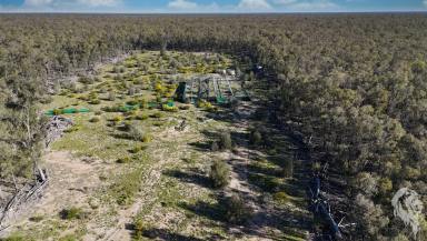 Farm For Sale - NSW - Wee Waa - 2388 - WEEKEND GETAWAY - HUNTING BLOCK  (Image 2)