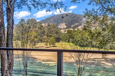 Farm Auction - NSW - Salisbury - 2420 - Secluded Riverfront Retreat  (Image 2)