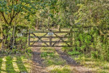 Farm Auction - NSW - Salisbury - 2420 - Secluded Riverfront Retreat  (Image 2)