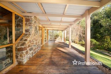 Farm For Sale - VIC - Launching Place - 3139 - ESCAPE TO NATURE  (Image 2)