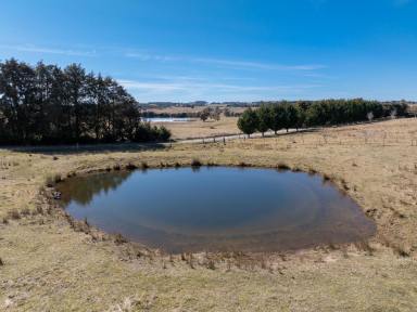 Farm Auction - NSW - Oberon - 2787 - "Rocky Ridge" Privacy. Comfort. Location.  (Image 2)