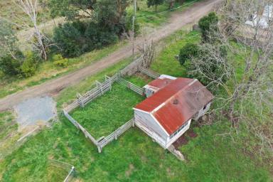 Farm For Sale - VIC - Sarsfield - 3875 - Secluded Farmlet At Sarsfield  (Image 2)