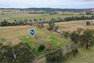 Farm For Sale - VIC - Sarsfield - 3875 - Secluded Farmlet At Sarsfield  (Image 2)