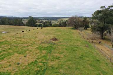 Farm For Sale - VIC - Sarsfield - 3875 - River Views At Sarsfield  (Image 2)