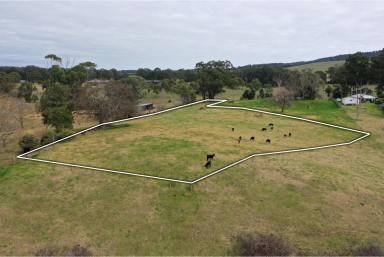 Farm For Sale - VIC - Sarsfield - 3875 - River Views At Sarsfield  (Image 2)