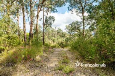 Farm Sold - VIC - McMahons Creek - 3799 - IDYLLIC SLICE OF AUSTRALIAN BUSHLAND  (Image 2)