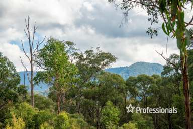 Farm Sold - VIC - McMahons Creek - 3799 - IDYLLIC SLICE OF AUSTRALIAN BUSHLAND  (Image 2)